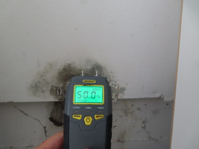 Mold Inspection Golden State Los Angeles (15)