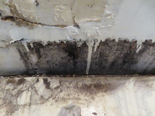 Mold Inspection Golden State Los Angeles (16)