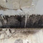 Mold Inspection Golden State Los Angeles (16)