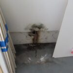 Mold Inspection Golden State Los Angeles (18)