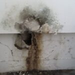 Mold Inspection Golden State Los Angeles (19)