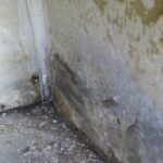 Mold Inspection Golden State Los Angeles (20)