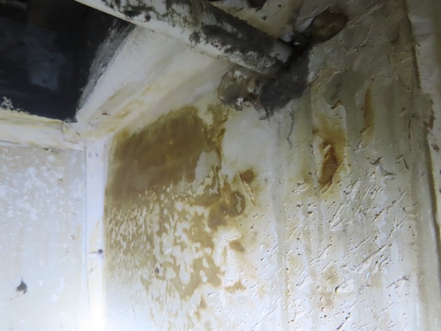 Mold Inspection Golden State Los Angeles (21)
