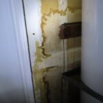 Mold Inspection Golden State Los Angeles (23)