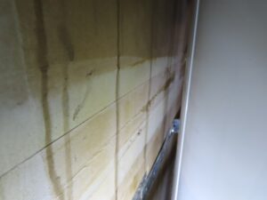 Mold Inspection Golden State Los Angeles (24)