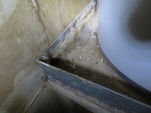 Mold Inspection Golden State Los Angeles (25)