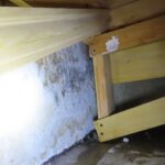 Mold Inspection Golden State Los Angeles (26)