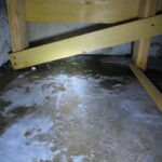 Mold Inspection Golden State Los Angeles (27)