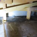 Mold Inspection Golden State Los Angeles (28)