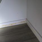 Mold Inspection Golden State Los Angeles (39)