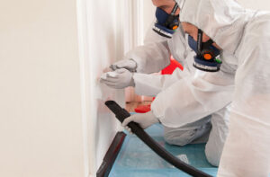 Asbestos Testing for Homes