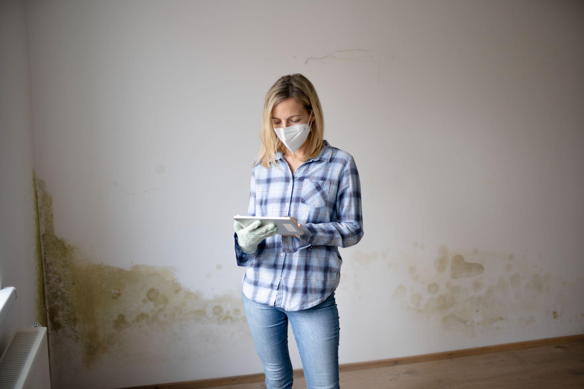 Does Homeowners Insurance Cover Black Mold