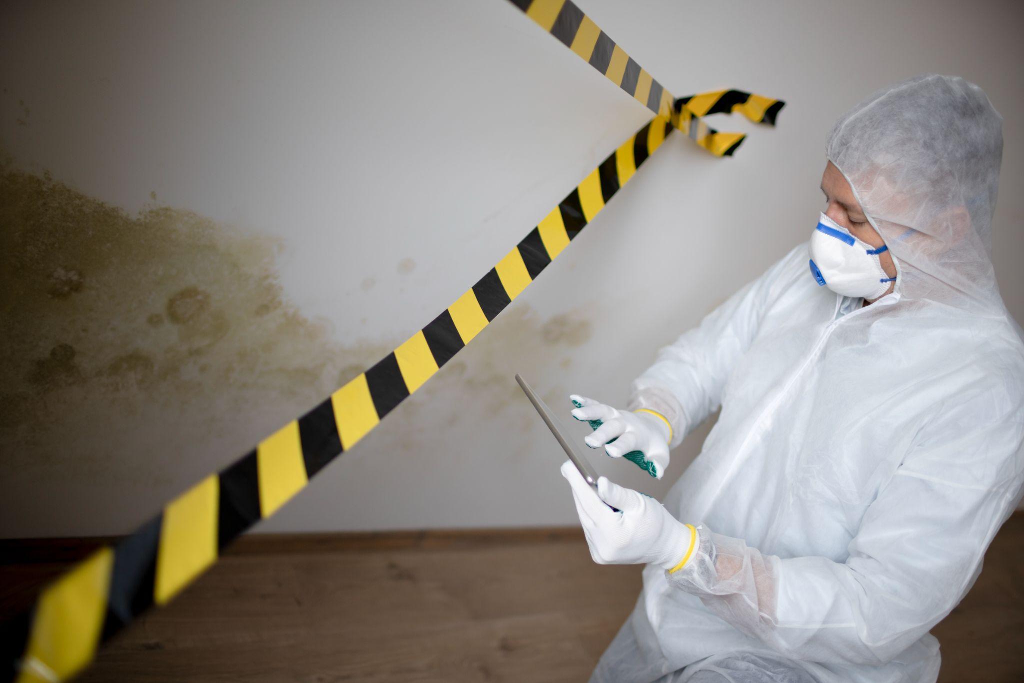 Mold Inspectors in Action