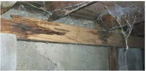 Hidden Mold in Redondo Beach Houses