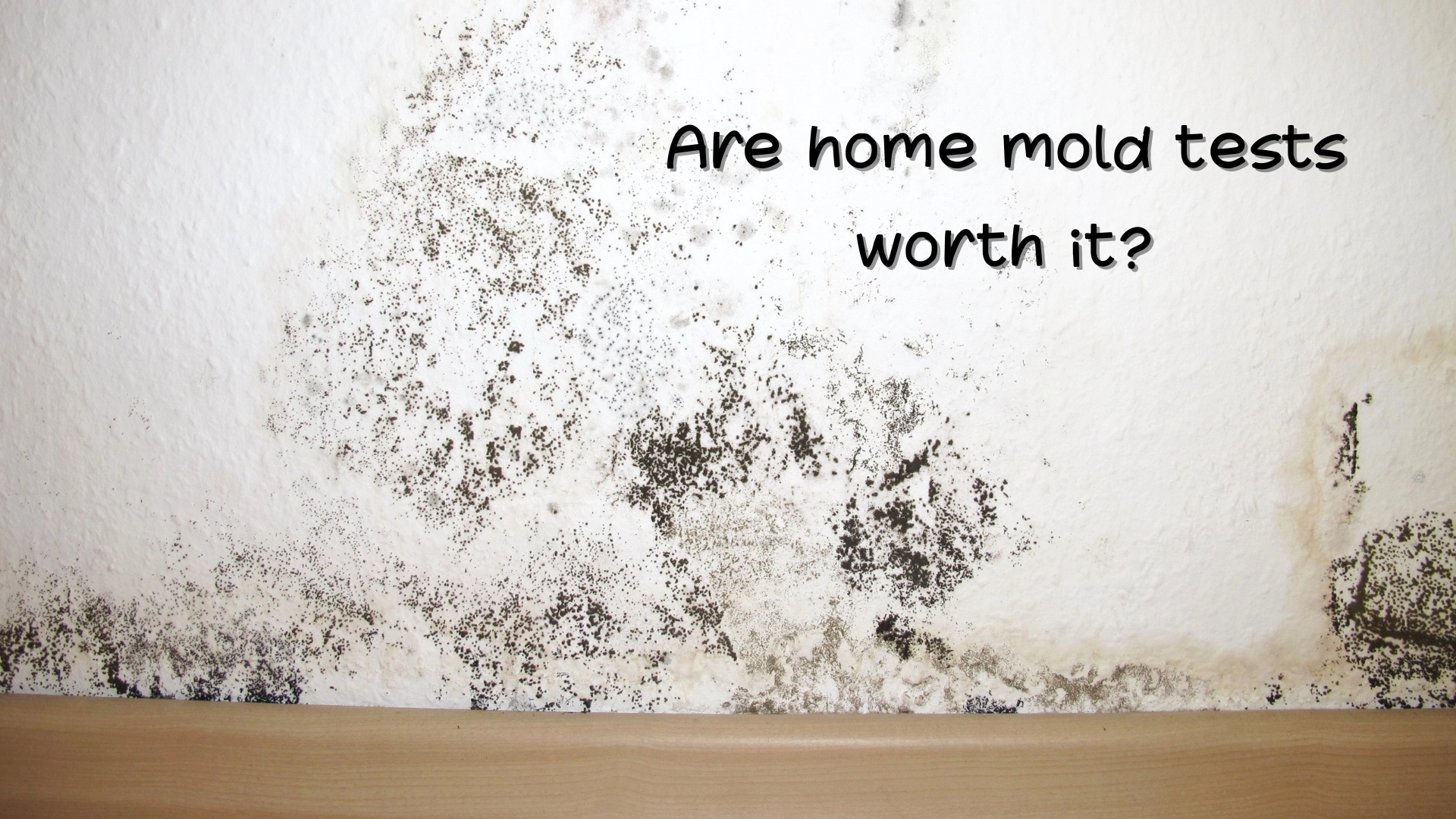 Are home mold tests worth it