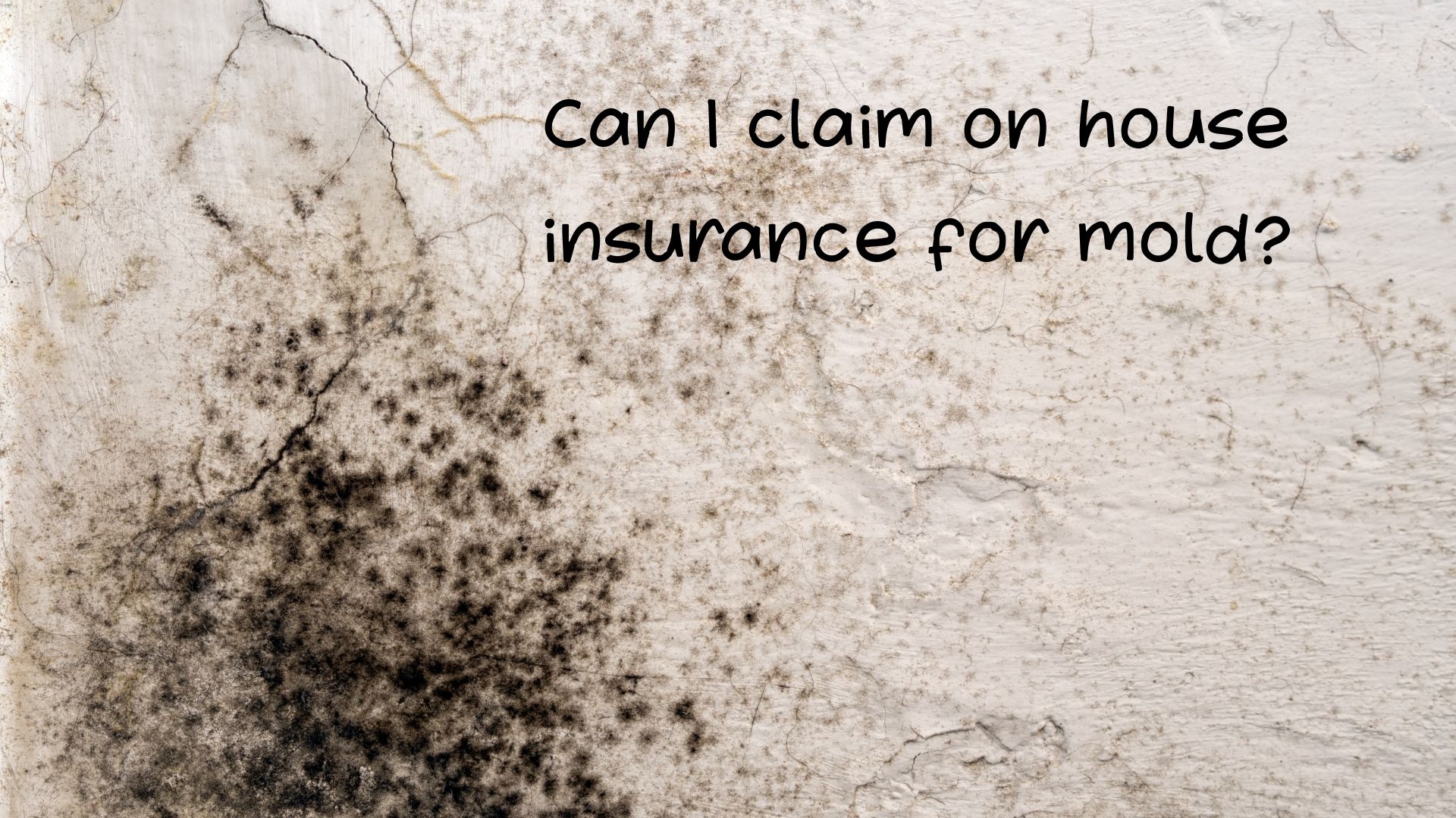 Can I claim on house insurance for mold