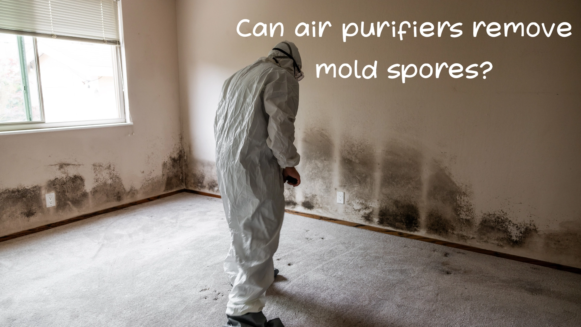 Can air purifiers remove mold spores