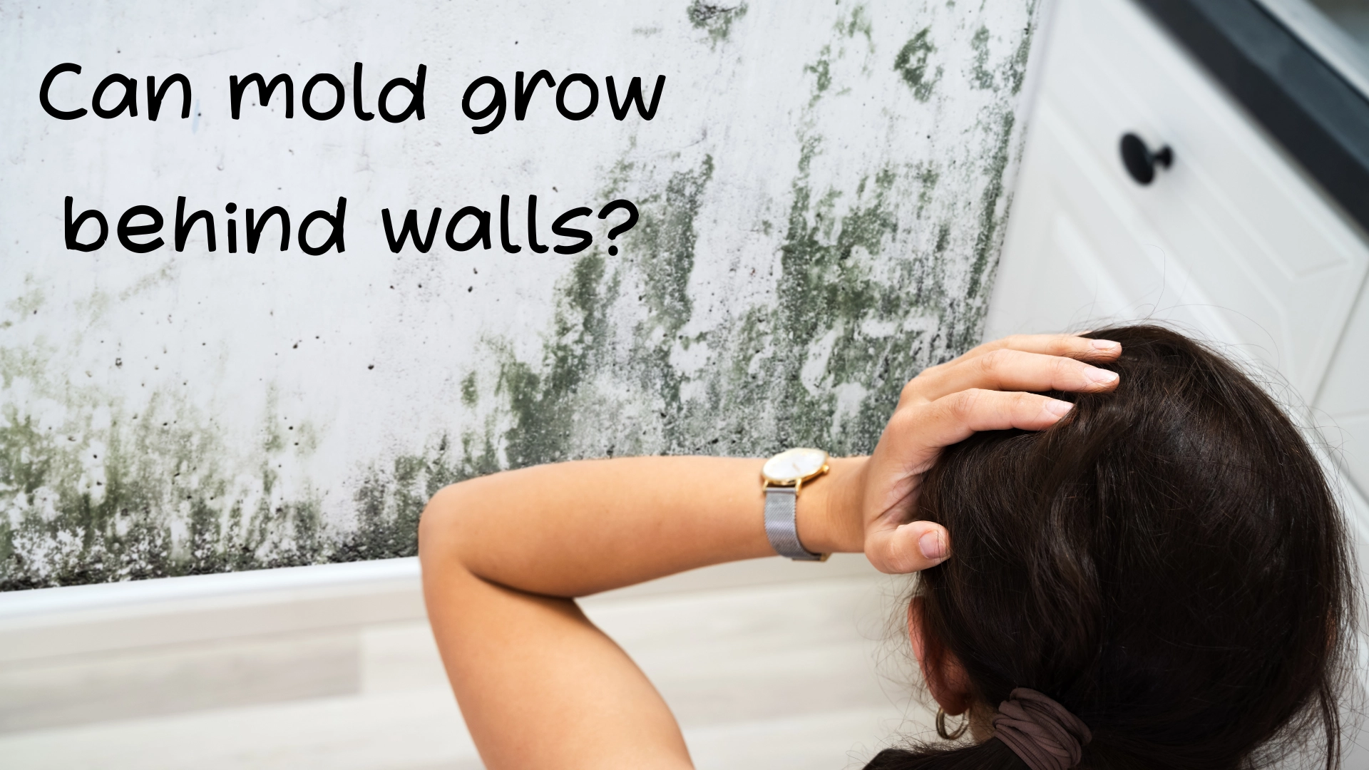 Can mold grow behind walls