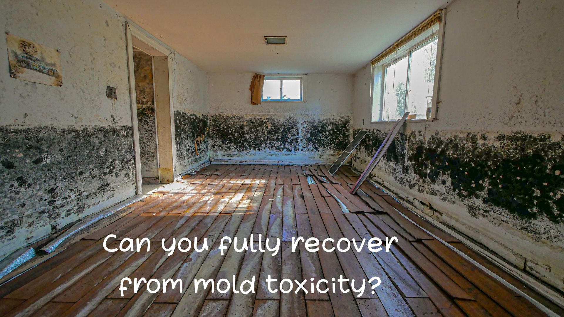 Can you fully recover from mold toxicity