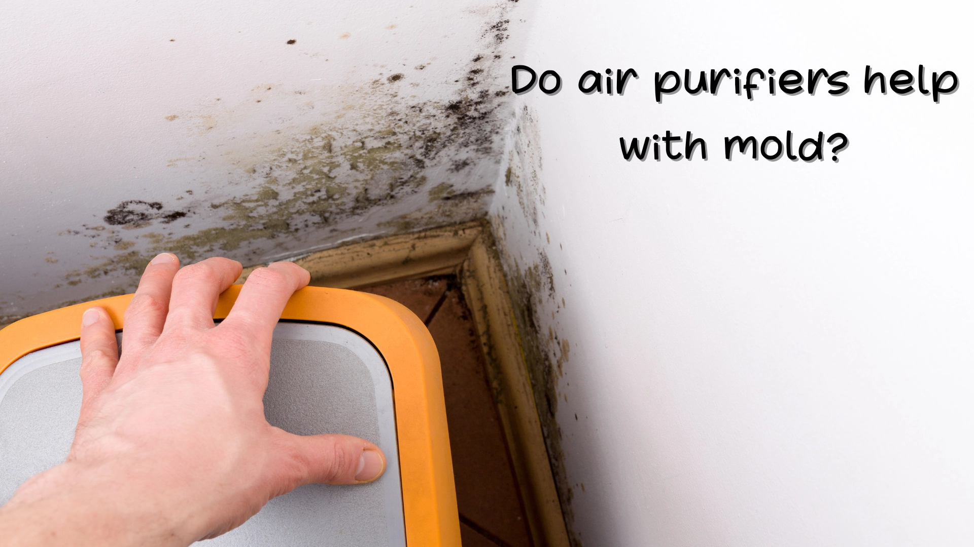 Do air purifiers help with mold
