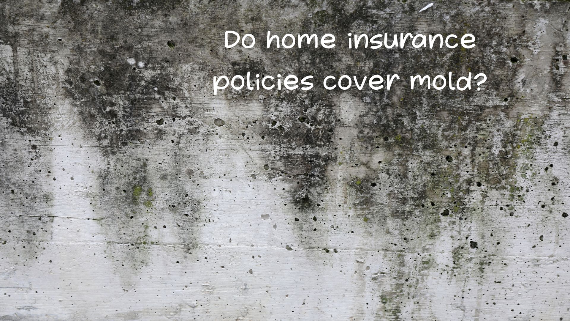 Do home insurance policies cover mold