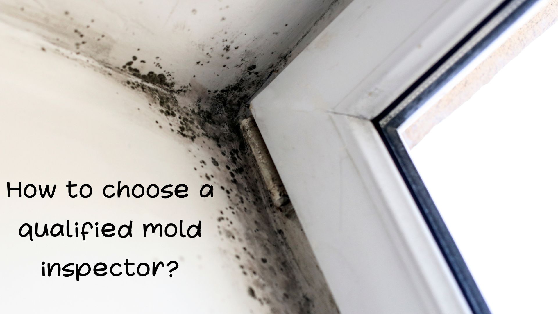 How to choose a qualified mold inspector