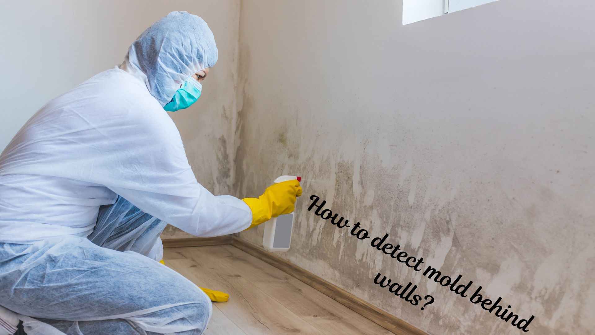 How to detect mold behind walls