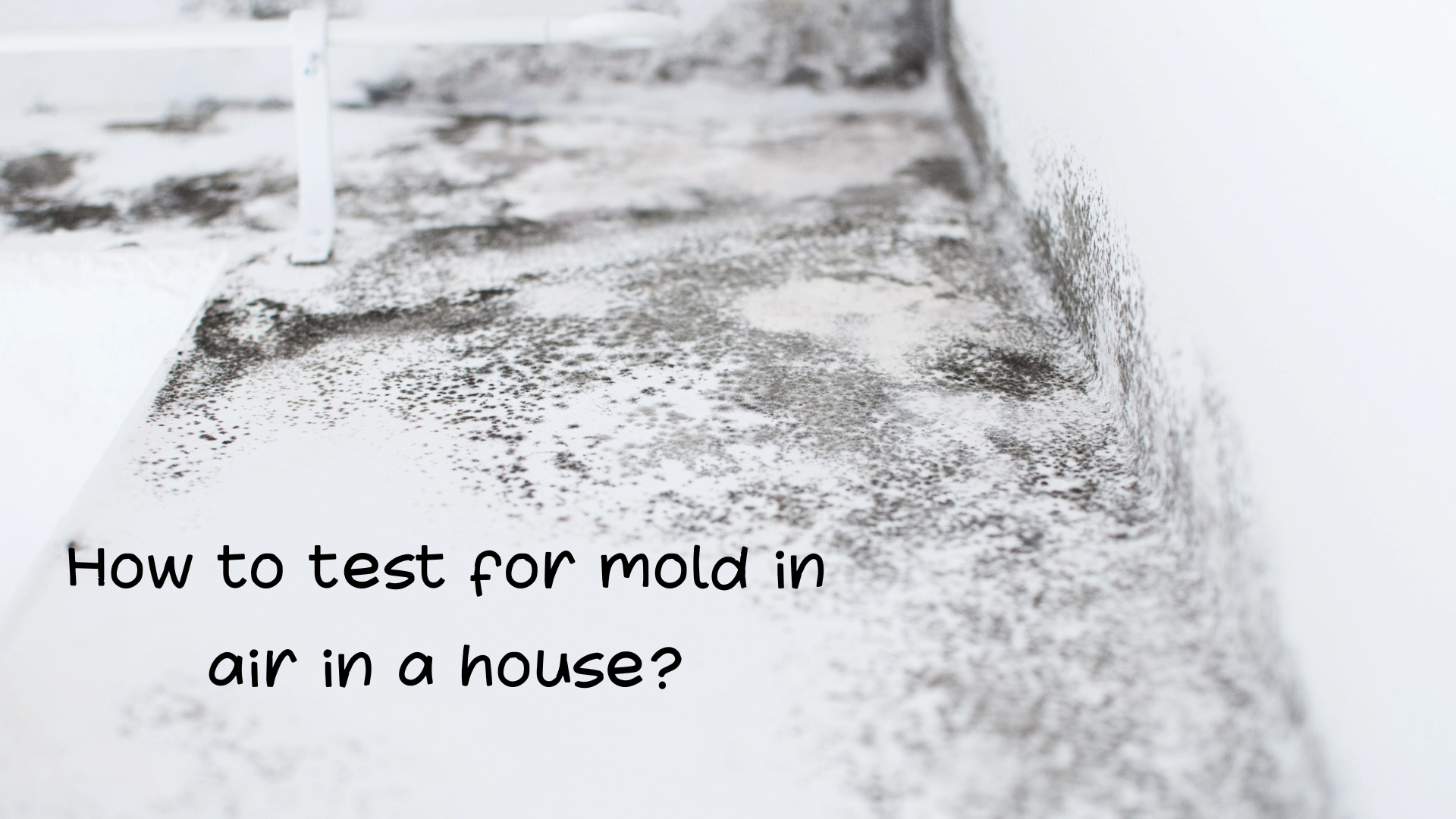 How to test for mold in air in a house