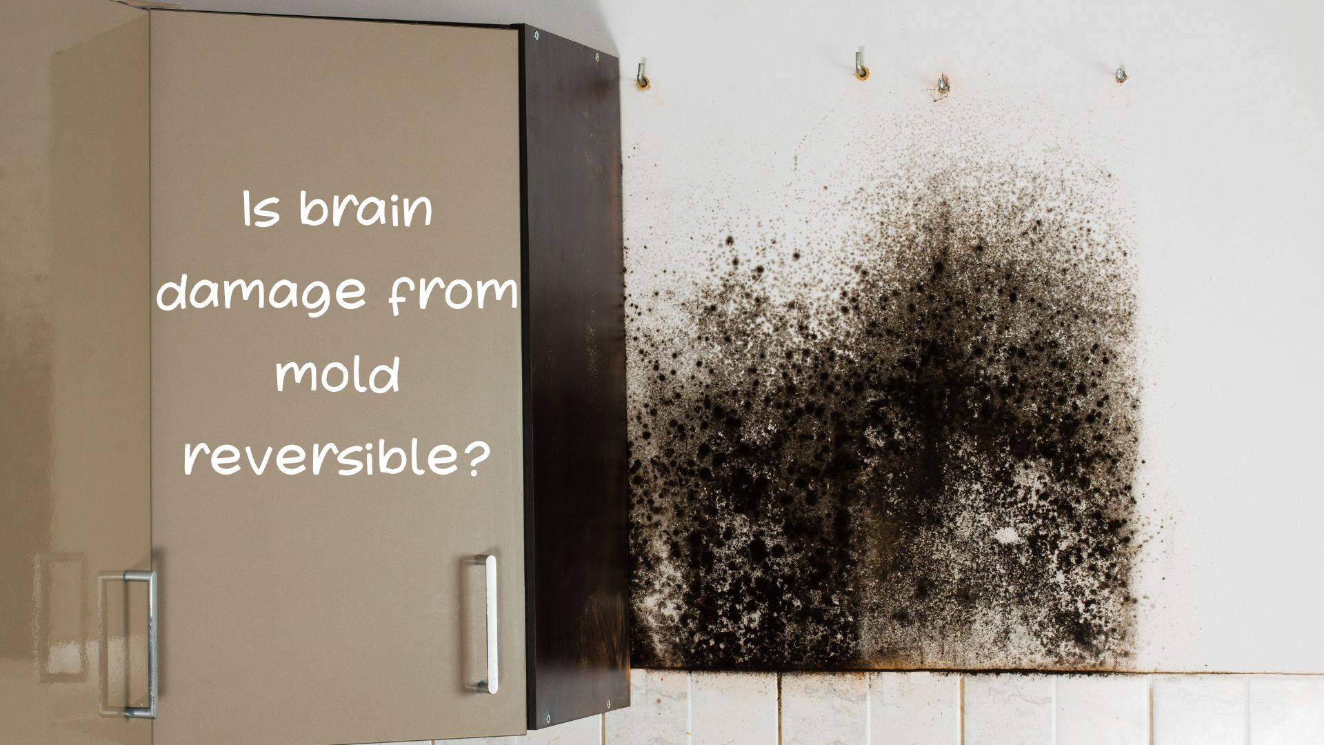 Is brain damage from mold reversible