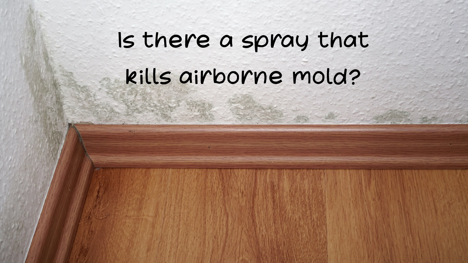 Is there a spray that kills airborne mold