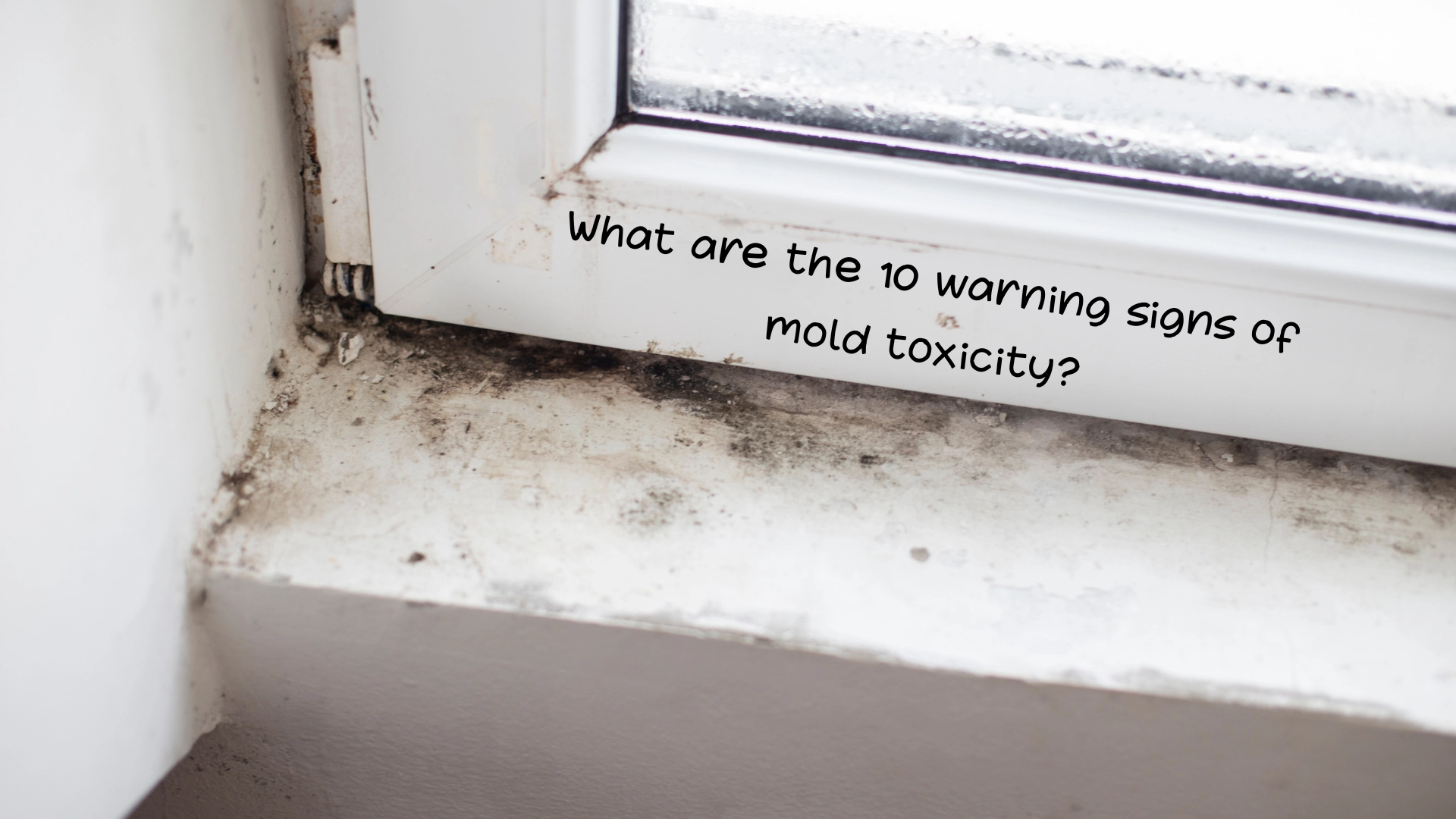 What are the 10 warning signs of mold toxicity