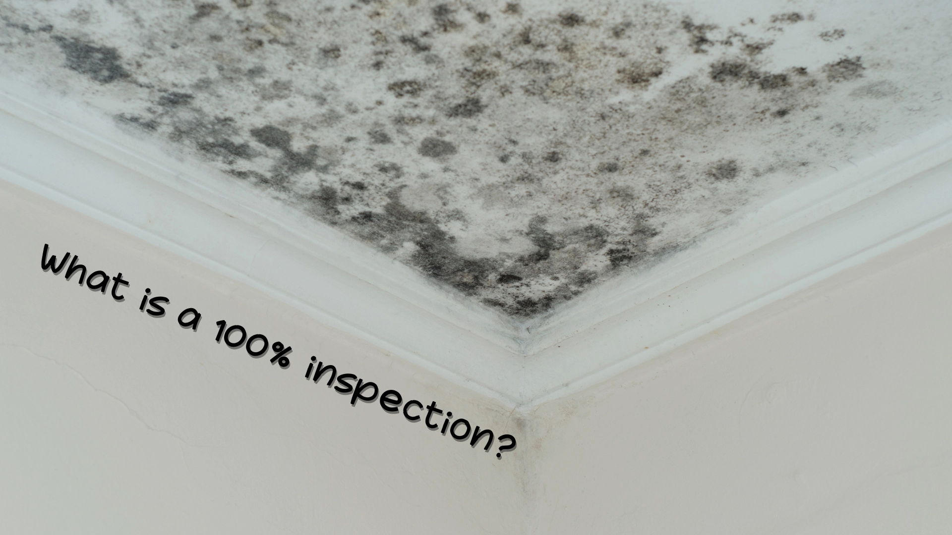 What is a 100% inspection