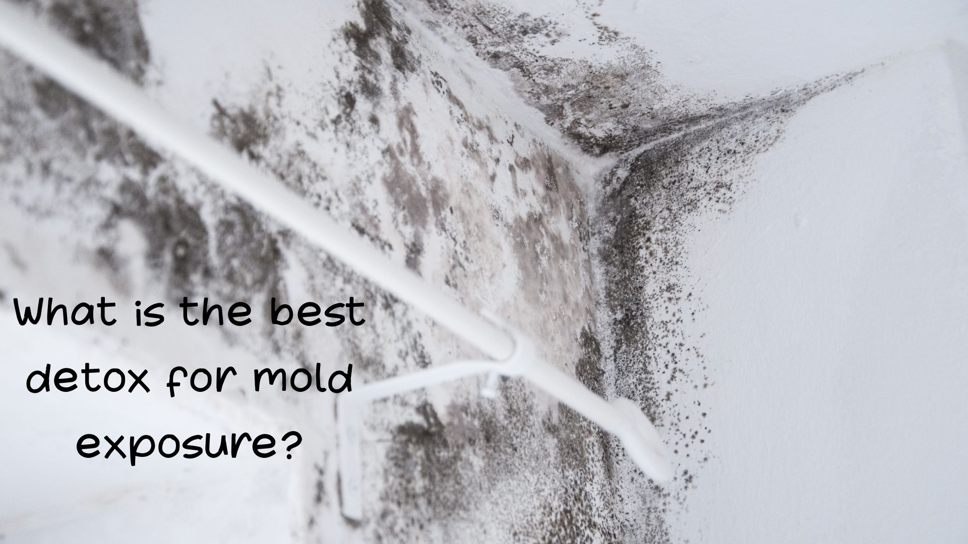 What is the best detox for mold exposure