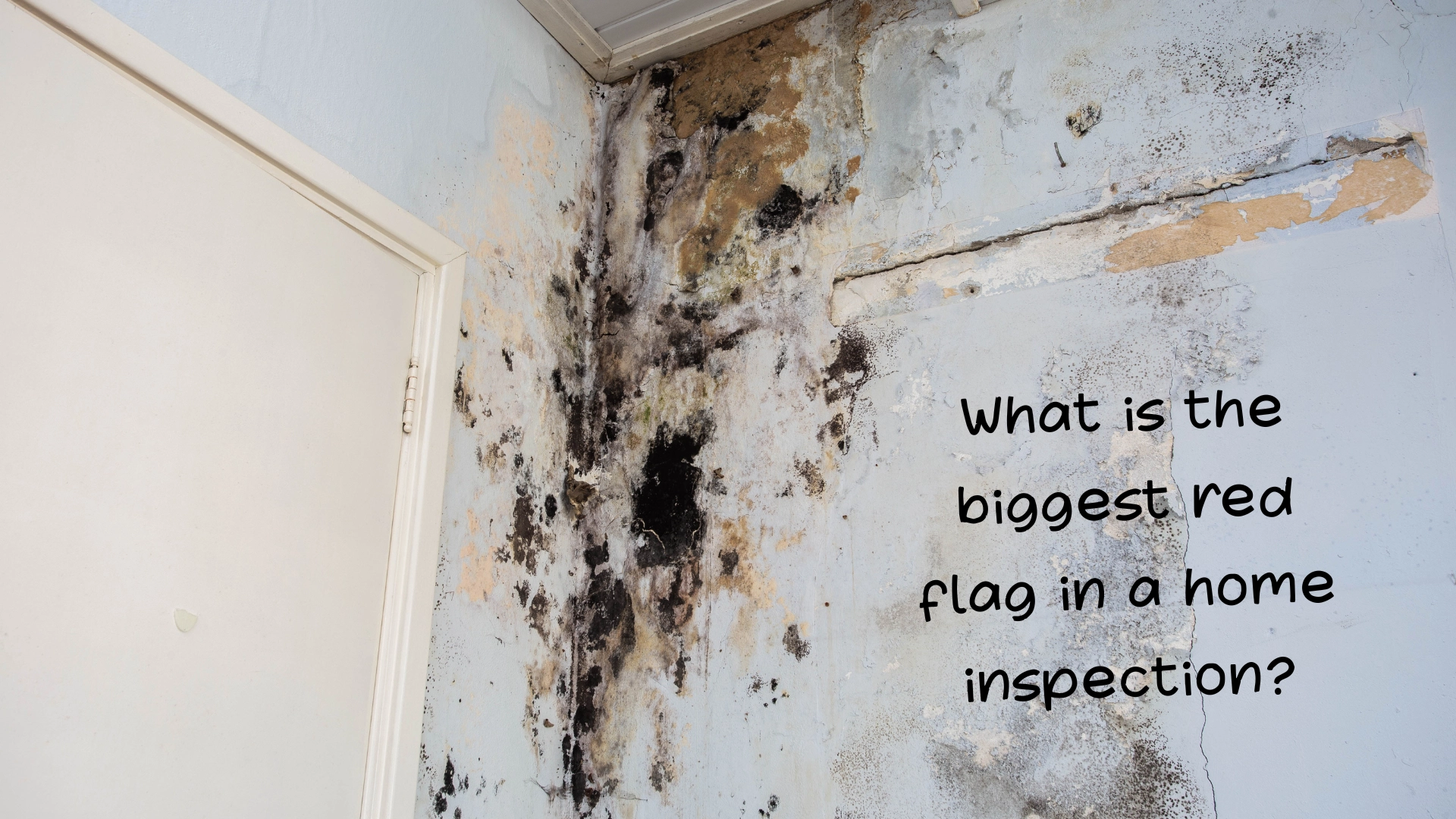 What is the biggest red flag in a home inspection
