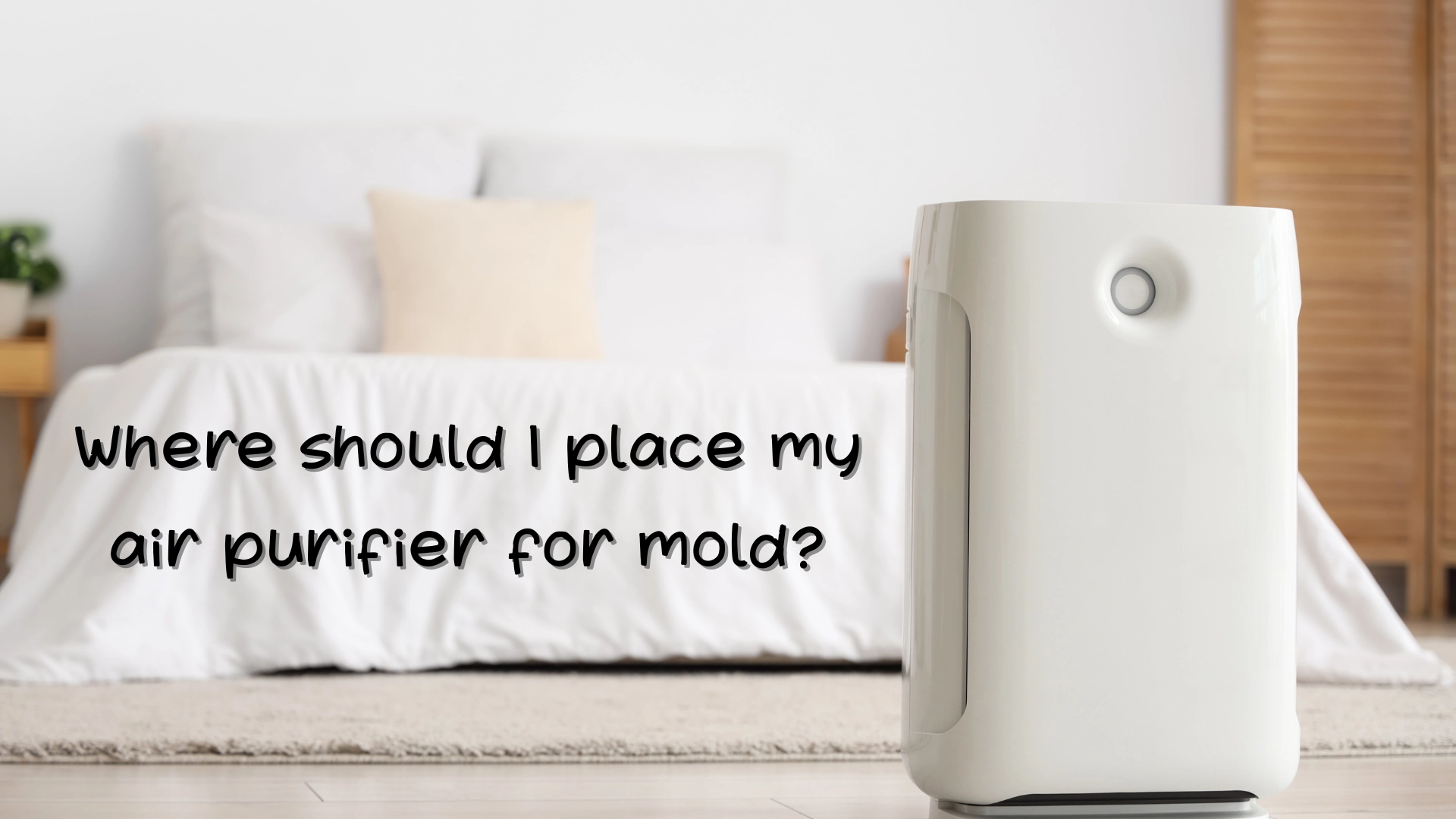 Where should I place my air purifier for mold