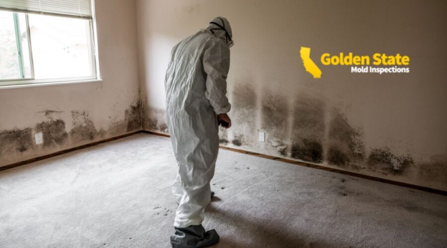 1 April_Core Page_Mold Inspections in LA That Protect Your Home and Health