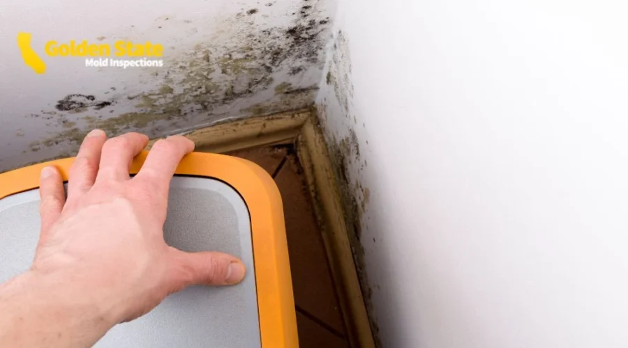 1 April_Geo Page_Mold Inspector in Los Angeles, CA