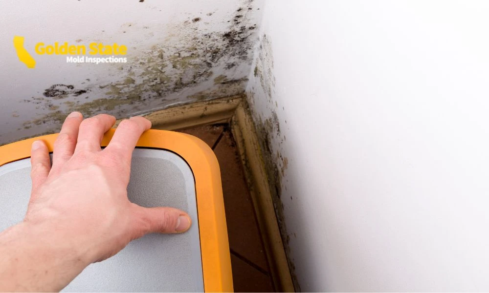 1 April_Geo Page_Mold Inspector in Los Angeles, CA
