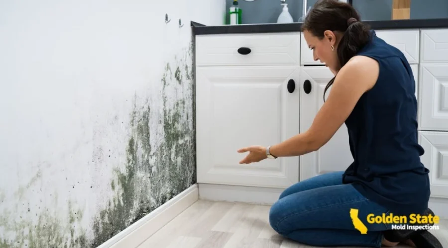 2 April_Geo Page_Mold Inspections in Los Angeles, CA