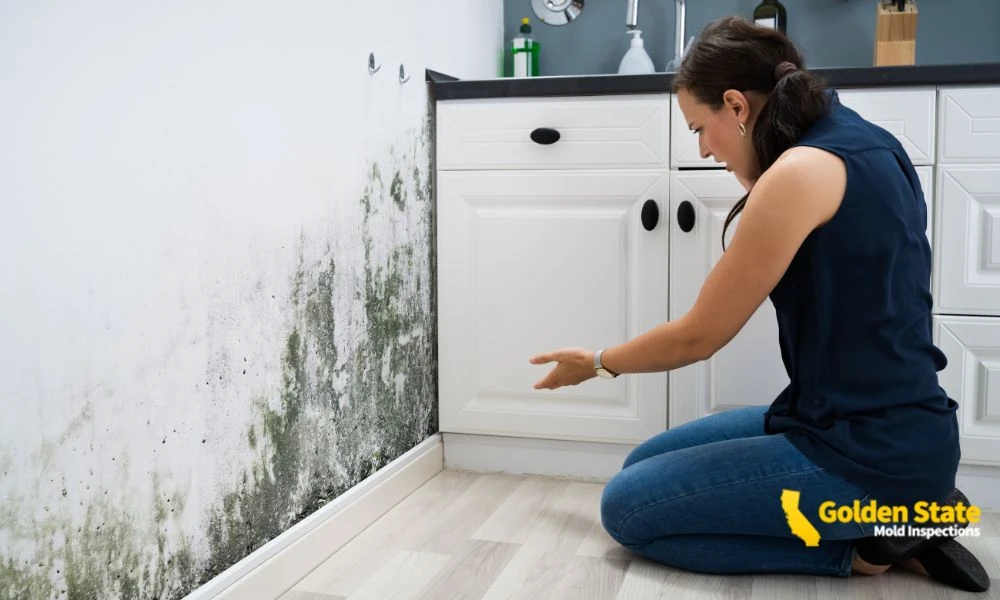 2 April_Geo Page_Mold Inspections in Los Angeles, CA