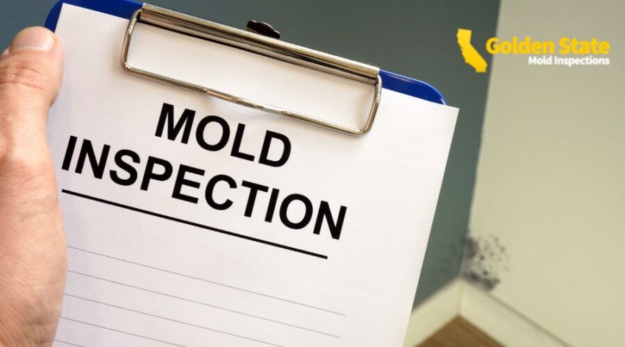3 April_Core page_Certified Mold Inspectors in Los Angeles Ready to Assess Your Property
