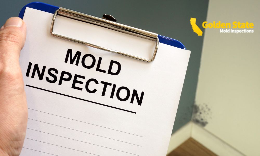 3 April_Core page_Certified Mold Inspectors in Los Angeles Ready to Assess Your Property