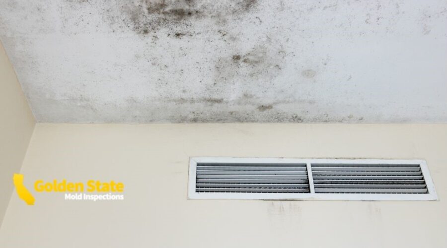 5 April_Core page_Mold Testing in Los Angeles with Lab-Certified Results