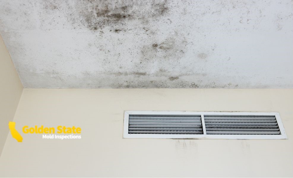 5 April_Core page_Mold Testing in Los Angeles with Lab-Certified Results