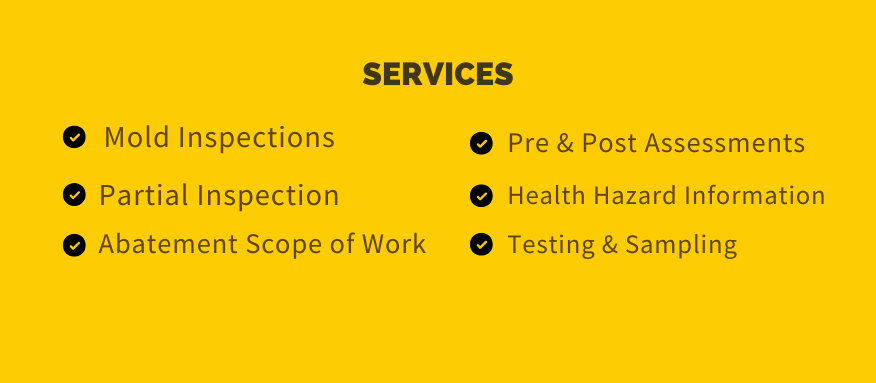 mold inspection services