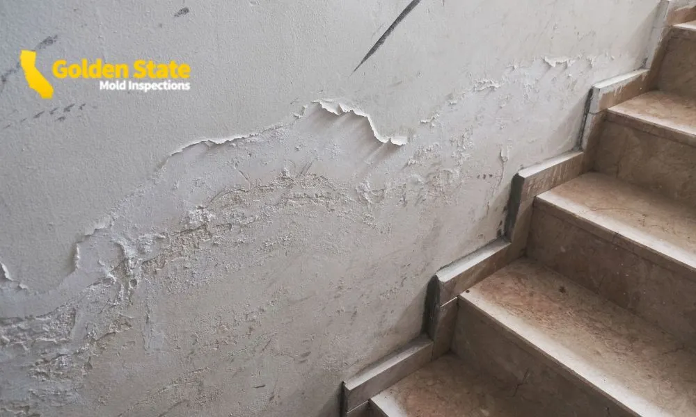 Mold Inspections Hawthorne CA