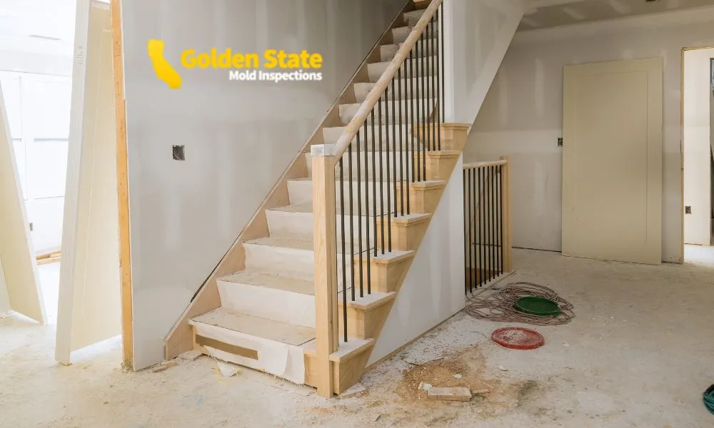 Mold Inspections Inglewood CA