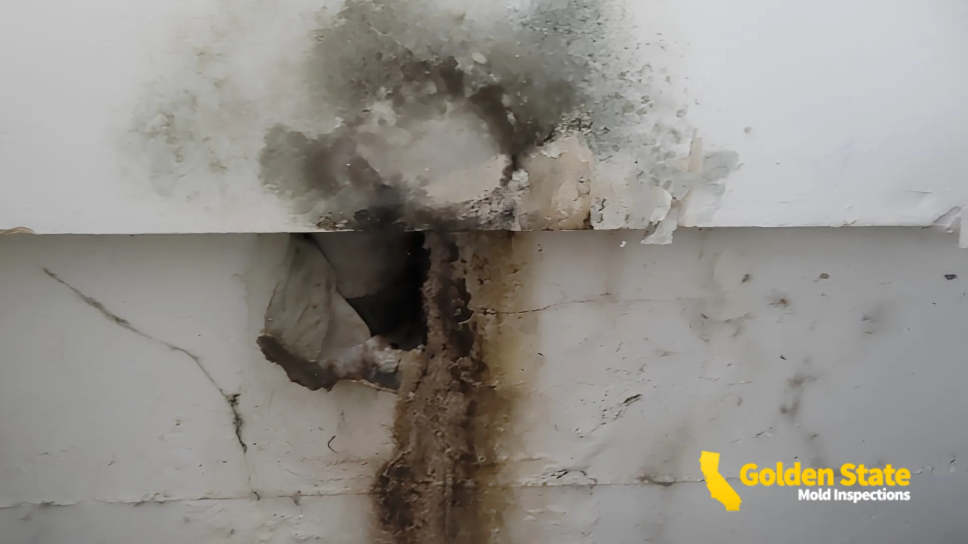 Mold Inspection in Woodland Hills, CA