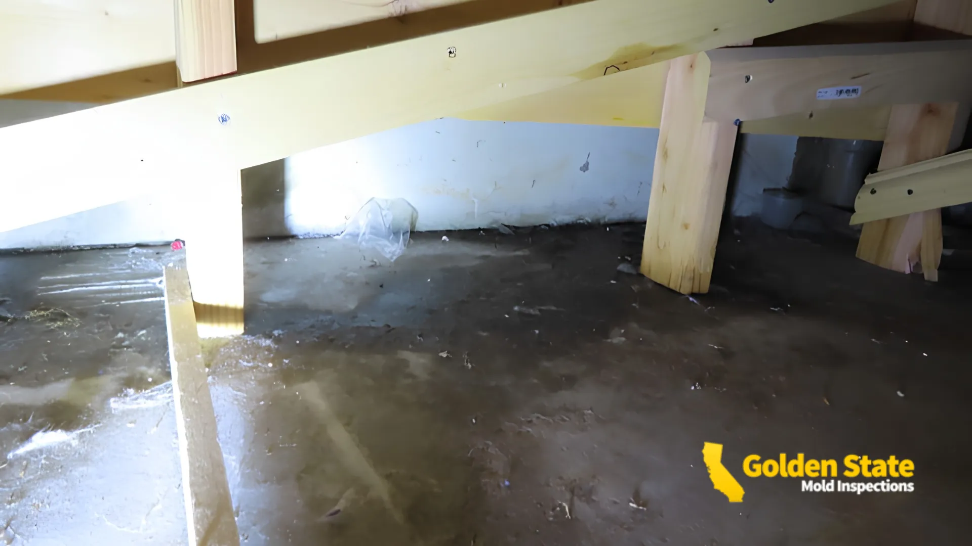 Mold Inspection in San Pedro, CA