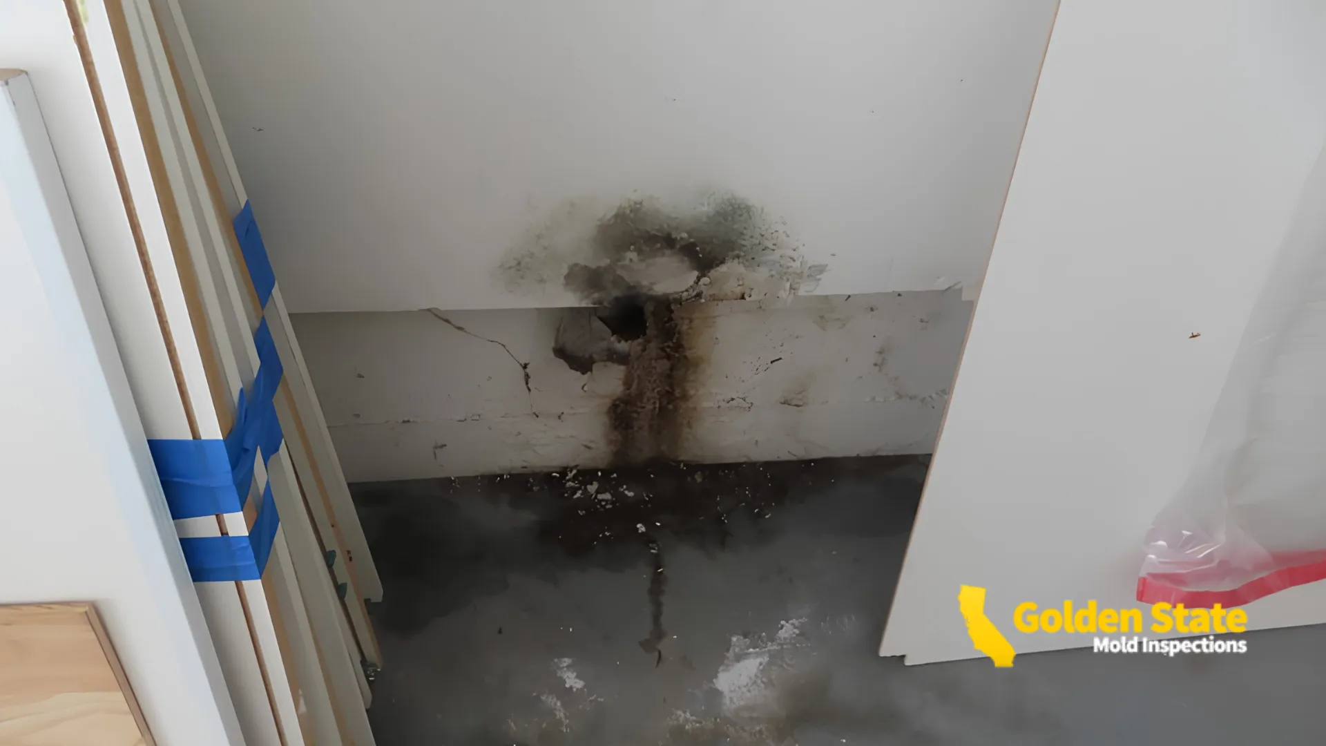 Mold Inspection in Van Nuys, CA